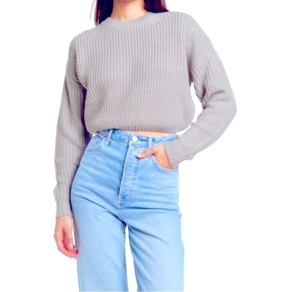 NWT Elodie Cropped Knit Crewneck Long Sleeve Sweater Silvery Grey Size XS - Picture 1 of 9